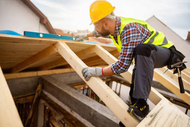 Roof Gutter Cleaning in Erlanger, KY